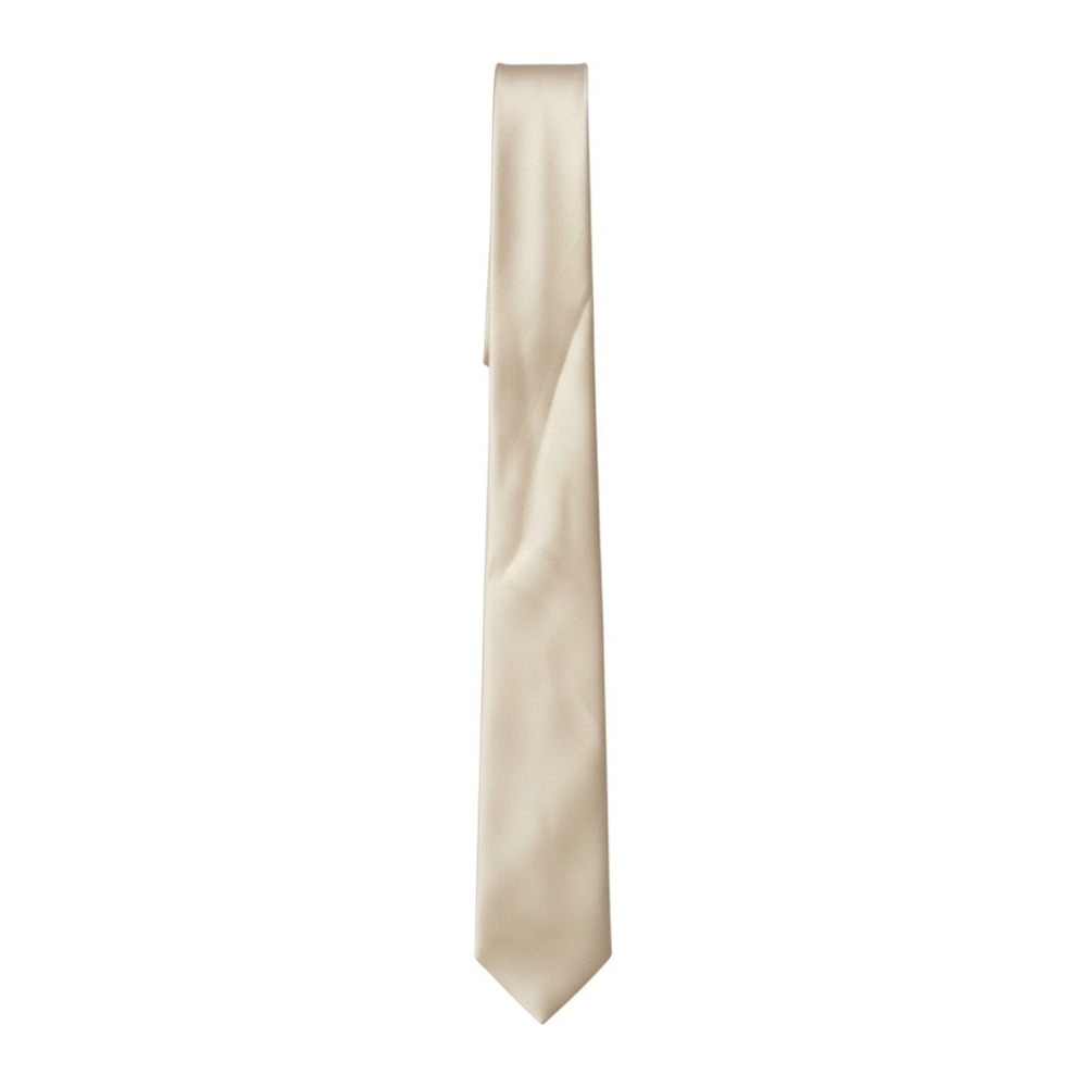 Champagne Necktie Hand Made Satin Solid Gold Formal Wedding Men Prom Business